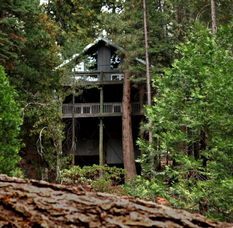 Tree House Lodge Йосемити-Уэст Экстерьер фото